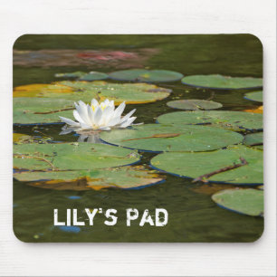 Vatten Lily i Pond Musmatta