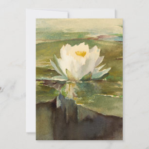 Vatten Lily i Sunlight John La Farge