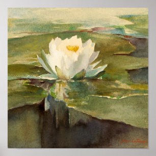 Vatten Lily i Sunlight John La Farge Poster