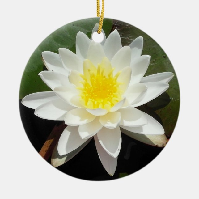 Vatten Lily Julgransprydnad Keramik (Framsidan)