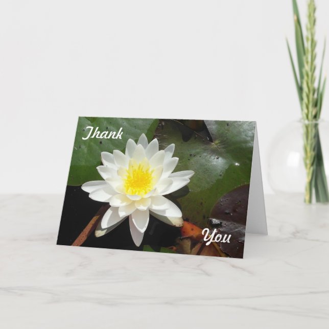 Vatten Lily Kort (Framsida)