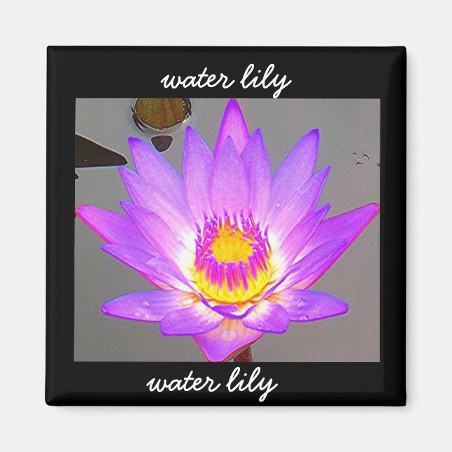 Vatten Lily Lila - Gräns Magnet (Framsidan)