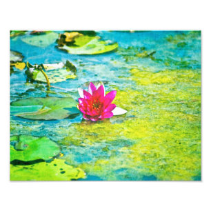 Vatten Lily Lilypad Fototryck