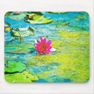 Vatten Lily Lilypad Musmatta
