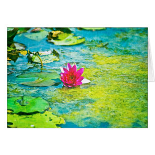 Vatten Lily Lilypad OBS Kort
