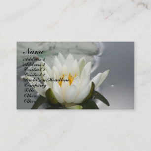 Vatten Lily Lotus Blommar Blommigt Affärskort Visitkort