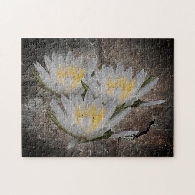 Vatten Lily Lotus blommar på stenen Pussel (Horisontell)