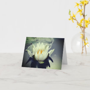 Vatten Lily Lotus Flower Note Card Kort