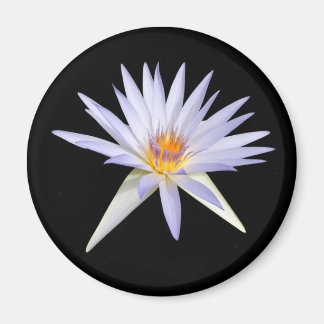 Vatten Lily Magnet