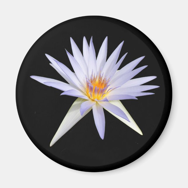 Vatten Lily Magnet (Framsidan)
