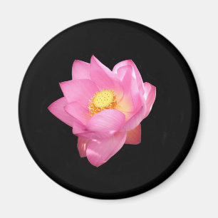 Vatten Lily Magnet