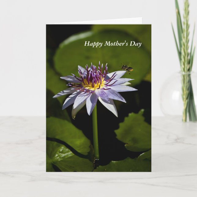 Vatten Lily Mors dag Card Kort (Framsida)