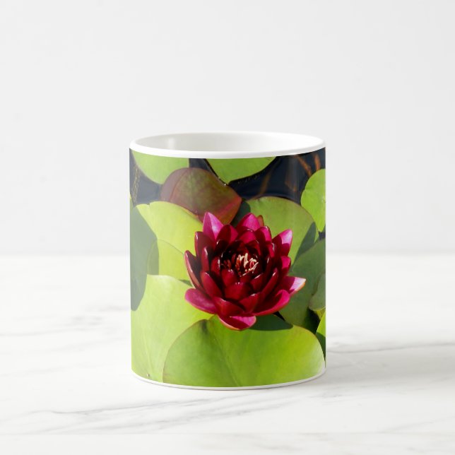 Vatten Lily Mugg (Center)