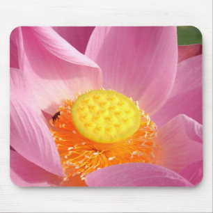 Vatten Lily Musmatta