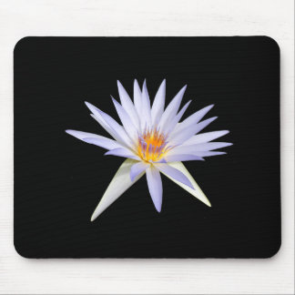 Vatten Lily Musmatta