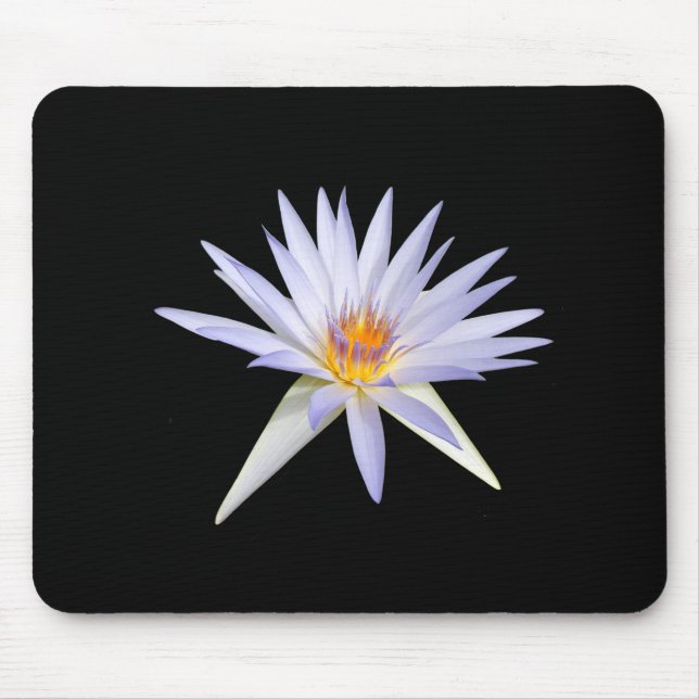 Vatten Lily Musmatta (Framsidan)