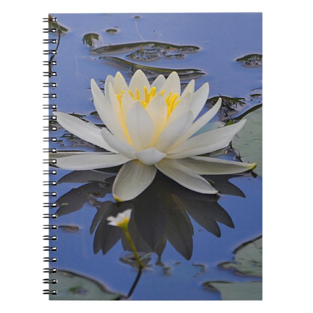 Vatten lily Notebook Anteckningsbok Med Spiral (Framsidan)