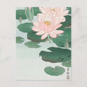 Vatten Lily Painting by Ohara Koson Postcard Vykort