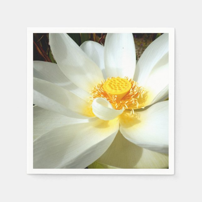 Vatten Lily Papper Napkins Pappersservett (Framsidan)