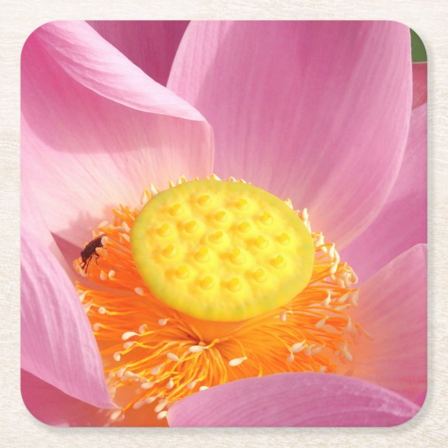 Vatten Lily Papper Underlägg Kvadrat (Framsidan)