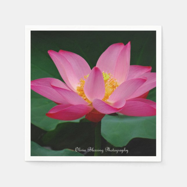 Vatten Lily Pappersservett (Framsidan)