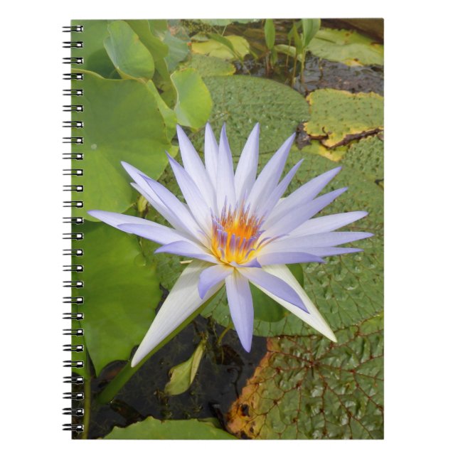 Vatten Lily Photo Notebook Anteckningsbok (Framsidan)