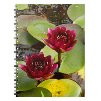 Vatten Lily Photo Notebook Anteckningsbok