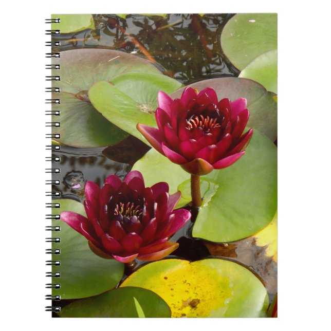 Vatten Lily Photo Notebook Anteckningsbok (Framsidan)