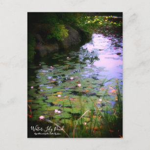 Vatten-Lily Pond:vykort Vykort