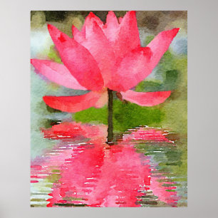 Vatten Lily Poster