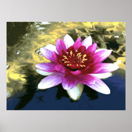 Vatten Lily Poster