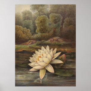 Vatten Lily Poster