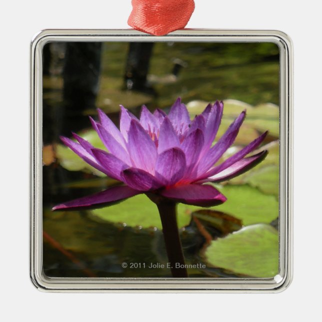 Vatten Lily Premium Square Ornament (Framsidan)