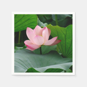 Vatten Lily Rosa Pappersservett