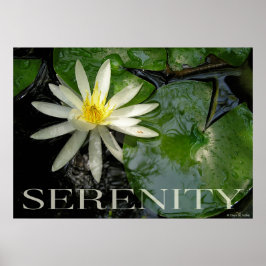 Vatten Lily Serenity Inspirational Poster