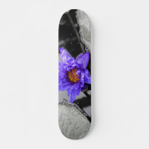 Vatten Lily Skateboard Bräda 20 Cm