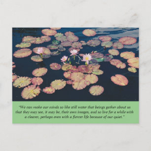 Vatten Lily Stillness vykort