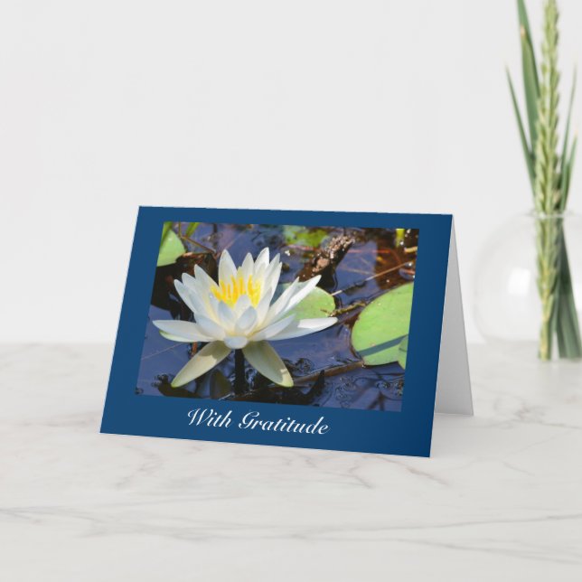 Vatten Lily, tack, ditt kort (Framsida)