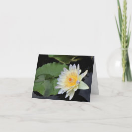 Vatten Lily Tack Kort