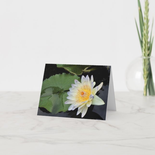 Vatten Lily Tack Kort (Framsida)