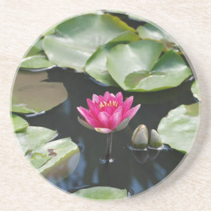 vatten lily underlägg