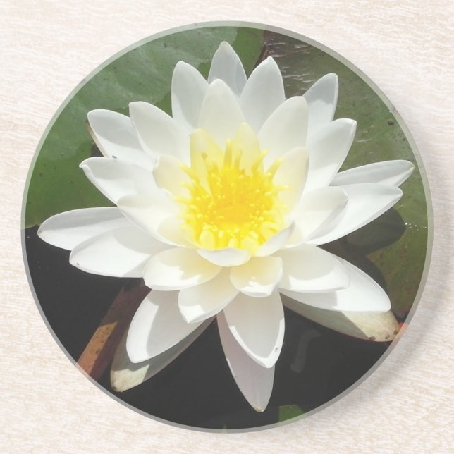 Vatten Lily Underlägg (Framsidan)
