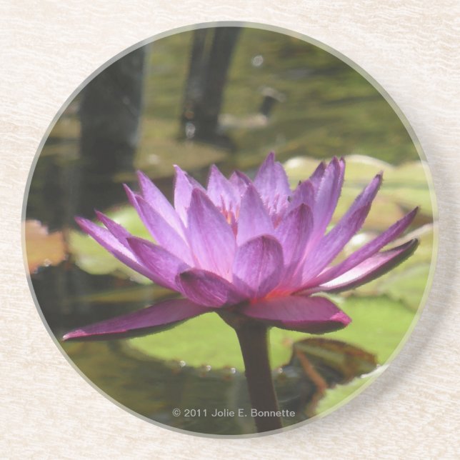 Vatten Lily Underlägg (Framsidan)