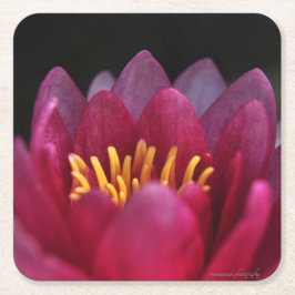 Vatten Lily Underlägg Papper Kvadrat