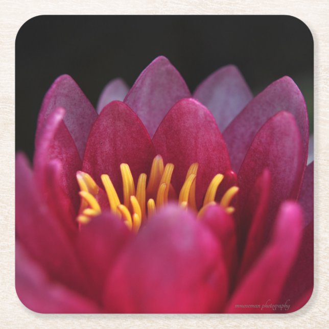 Vatten Lily Underlägg Papper Kvadrat (Framsidan)