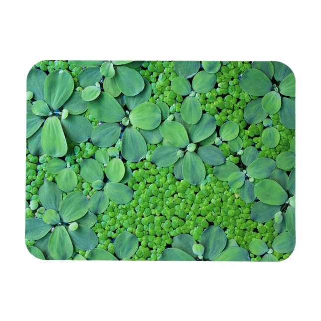 Vatten Magnet (Horisontell)