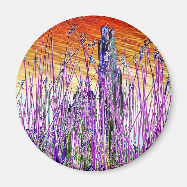 VATTEN MAGNET (Framsidan)