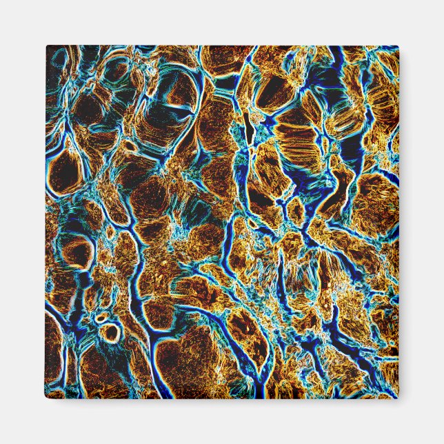 VATTEN MAGNET (Framsidan)