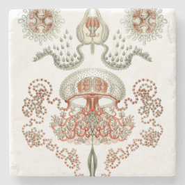 Vatten- manet för liv~-Haeckel ~ Underlägg Sten