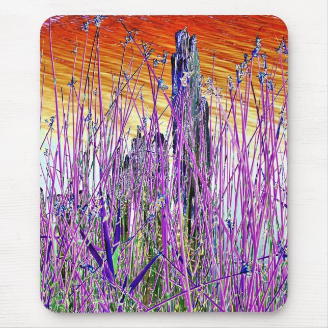 VATTEN MUSMATTA (Framsidan)